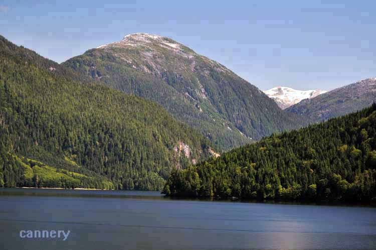 fjords and water